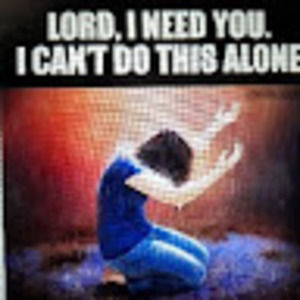 Meet your Posher, Gollita